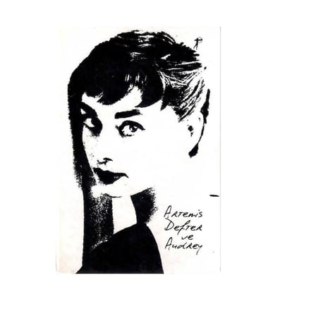 Ajanda Defter ve Audrey - Boş Çizgisiz Ciltli - Defter