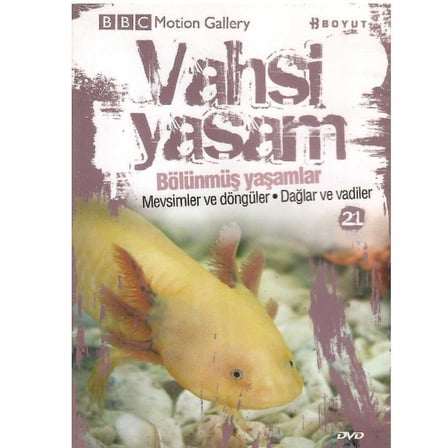 BBC Motion Gallery - Vahşi Yaşam Bölünmüş Yaşamlar Mevsimler ve Döngüler Dağlar ve Vadiler  -  (DVD)