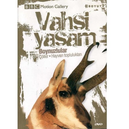 BBC Motion Gallery - Vahşi Yaşam Boynuzlular Çöller Hayvan Toplulukları -  (DVD)