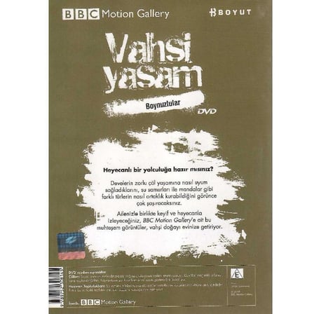 BBC Motion Gallery - Vahşi Yaşam Boynuzlular Çöller Hayvan Toplulukları -  (DVD)