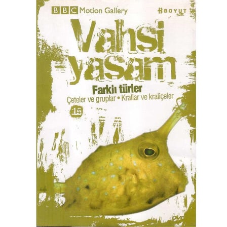 BBC Motion Gallery - Vahşi Yaşam Farklı Türler Çeteler ve Gruplar Krallar ve Kraliçeler -  (DVD)