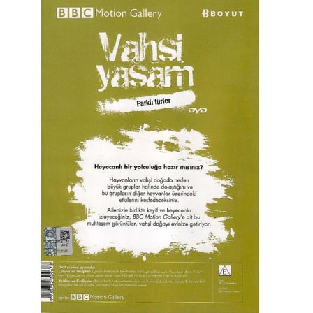 BBC Motion Gallery - Vahşi Yaşam Farklı Türler Çeteler ve Gruplar Krallar ve Kraliçeler -  (DVD)