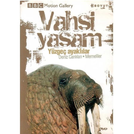 BBC Motion Gallery - Vahşi Yaşam Yüzgeç Ayaklılar Deniz Canlıları Memeliler -  (DVD)