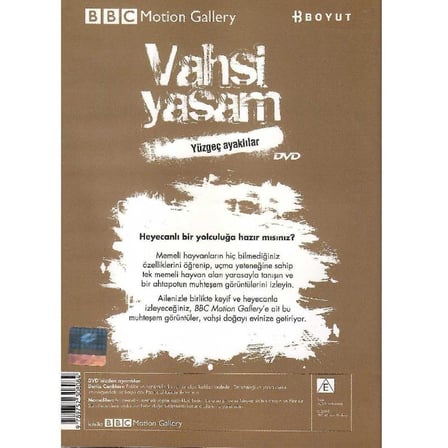 BBC Motion Gallery - Vahşi Yaşam Yüzgeç Ayaklılar Deniz Canlıları Memeliler -  (DVD)
