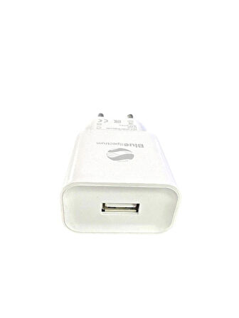 Blue Spectrum 10W 2.4A Şarj Başlığı USB Çıkışlı