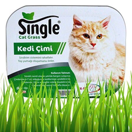 Single Natural Kedi Çimi