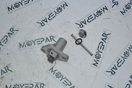 RSV 065 MONDİAL RESSİVO RKS VIESTE 249 EKSANTRİK ZİNCİR GERGİSİ (MSR)