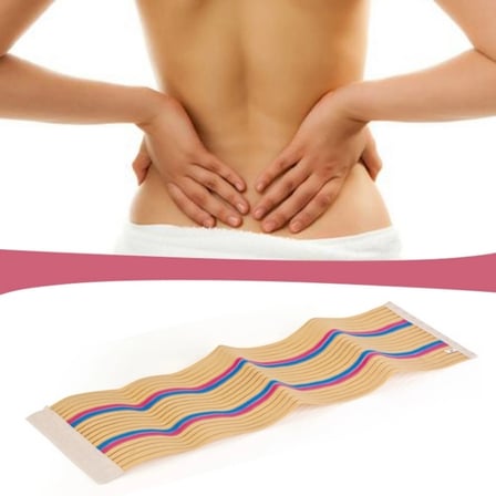 Waist Trimmer Renkli - XL (599)