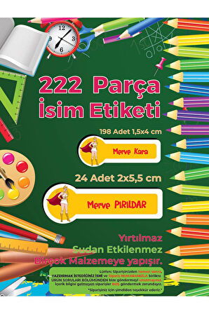 Okul Etiketi Kalem Defter Etiketi, She-Ra Etiketi - 222 Adet Folyo Sticker