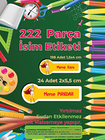 Okul Etiketi Kalem Defter Etiketi, She-Ra Etiketi - 222 Adet Folyo Sticker