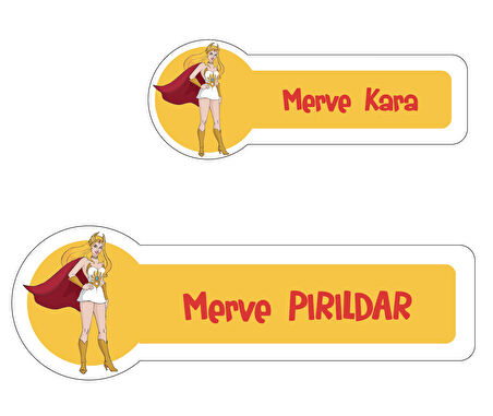 Okul Etiketi Kalem Defter Etiketi, She-Ra Etiketi - 222 Adet Folyo Sticker