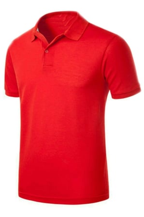 Unisex Polo Yaka Kısa Kol Okul T-shirt