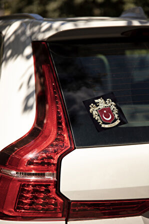 Bozkurtlu Milli Takım Logosu Siyah Zemin - 4 Adet Opak Folyo Sticker