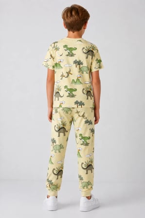 Desenli Erkek Çocuk Pijama Takımı 91101
