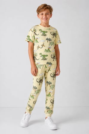 Desenli Erkek Çocuk Pijama Takımı 91101