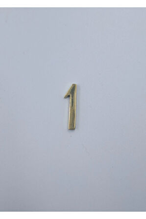 PİRİNÇ RAKAM 3CM NO:1