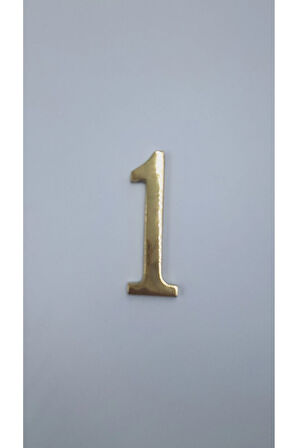 PİRİNÇ RAKAM 10 CM NO:1