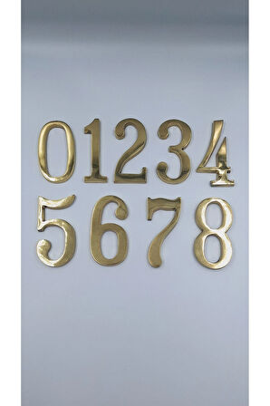 PİRİNÇ RAKAM 10 CM NO:1