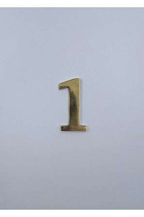 PİRİNÇ RAKAM 6CM TIRNAKLI NO:1