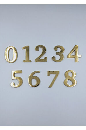 PİRİNÇ RAKAM 6CM TIRNAKLI NO:2