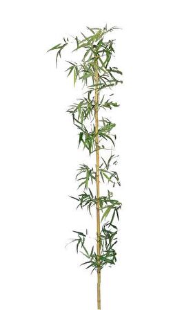 Yapay Bambu Sopası 21 Yapraklı 240cm Yapay Çiçek Bambu Duvarı