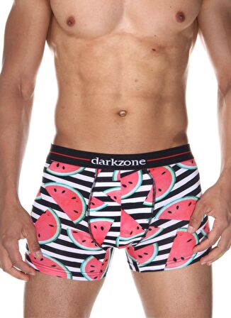 Darkzone Çok Renkli Erkek Boxer DZN2061