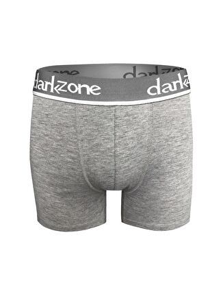 Darkzone Gri Erkek Boxer DZN2703
