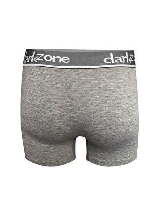 Darkzone Gri Erkek Boxer DZN2703