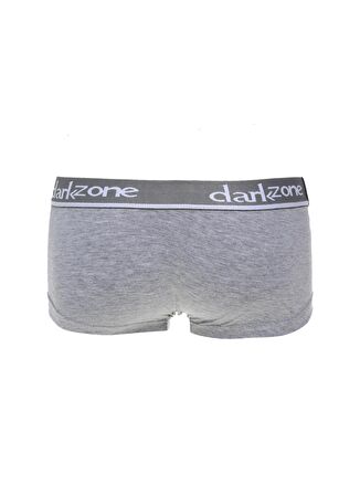 Darkzone Gri Erkek Boxer DZN3303