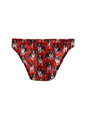 Darkzone Çok Renkli Erkek Slip DZN6072