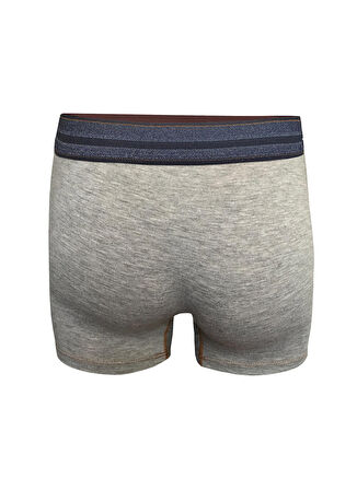 Darkzone Gri Erkek Boxer DZN2903