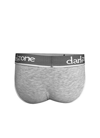 Darkzone Gri Erkek Slip DZN6253