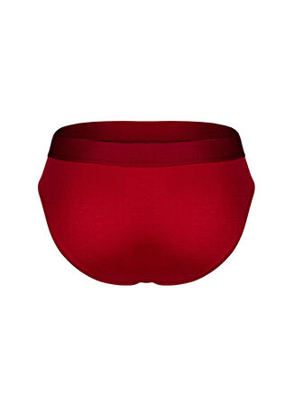 Darkzone Bordo Erkek Slip DZNBM6307