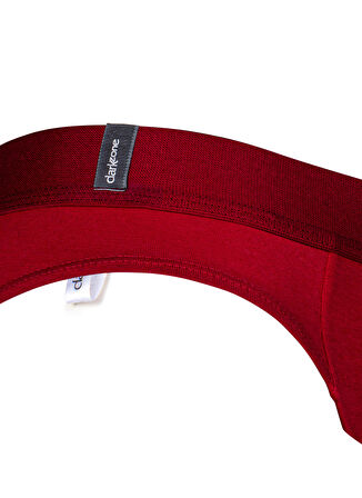 Darkzone Bordo Erkek Slip DZNBM6307