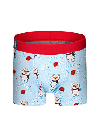 Darkzone Çok Renkli Erkek Boxer DZNNY0004