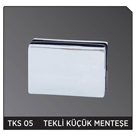 Teksan  Tekli Küçük Menteşe TKS 05