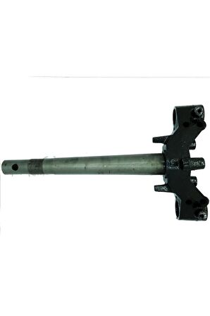 Asya CUB TÜRK 100-7 MAŞA