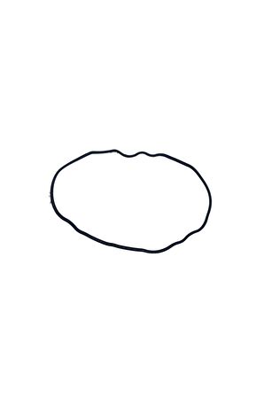 Ramzey KARACA KÜLBÜTÖR KAPAK O-RİNGİ