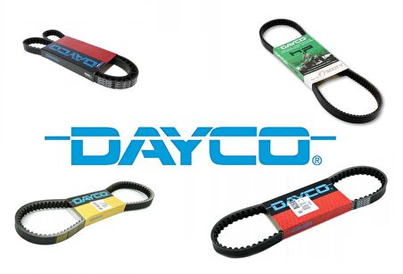 DAYCO 18-736 LE KAYIŞ DAYCO 8134K