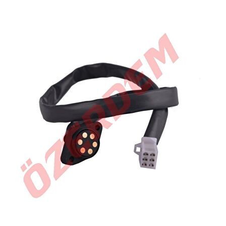 Asya CG ASYA MODEL VİTES MÜŞÜRÜ 2 KULAKLI