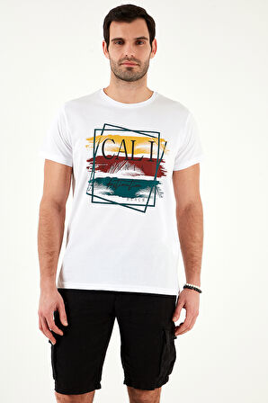 Buratti Erkek T Shirt 541S31