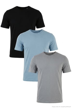 Buratti Pamuklu Regular Fit Bisiklet Yaka 3'lü Paket T Shirt Erkek T SHİRT 59020204S3 Siyah-Mavi-Açık Gri