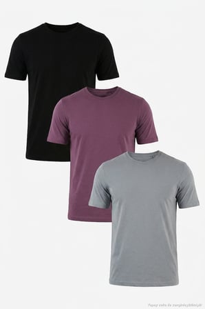 Buratti Pamuklu Regular Fit Bisiklet Yaka 3'lü Paket T Shirt Erkek T SHİRT 59020204S3 Siyah-Mürdüm-Açık Gri
