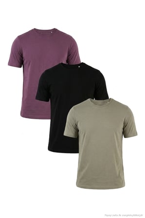 Buratti Pamuklu Regular Fit Bisiklet Yaka 3'lü Paket T Shirt Erkek T SHİRT 59020204S3 Siyah-Mürdüm-Vizon Yeşili