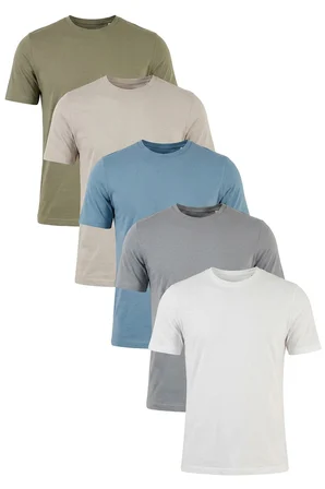 Buratti Pamuklu Regular Fit Bisiklet Yaka 5'li Paket T Shirt Erkek T SHİRT 59020204S5 Vizon Yeşili-Kül-Mavi-Açık Gri-Ekru
