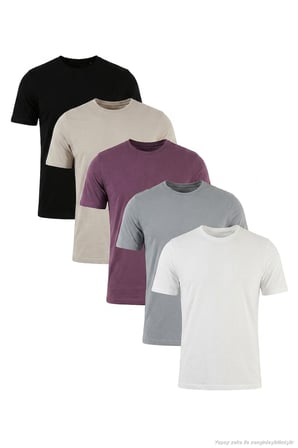 Buratti Pamuklu Regular Fit Bisiklet Yaka 5'li Paket T Shirt Erkek T SHİRT 59020204S5 Siyah-Mürdüm-Kül-Açık Gri-Ekru