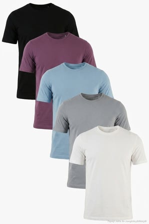 Buratti Pamuklu Regular Fit Bisiklet Yaka 5'li Paket T Shirt Erkek T SHİRT 59020204S5 Siyah-Mürdüm-Mavi-Açık Gri-Ekru