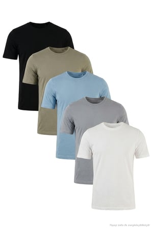 Buratti Pamuklu Regular Fit Bisiklet Yaka 5'li Paket T Shirt Erkek T SHİRT 59020204S5 Siyah-Vizon Yeşili-Mavi-Açık Gri-Ekru