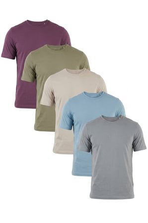 Buratti Pamuklu Regular Fit Bisiklet Yaka 5'li Paket T Shirt Erkek T SHİRT 59020204S5 Mürdüm-Vizon Yeşili-Kül-Mavi-Açık Gri