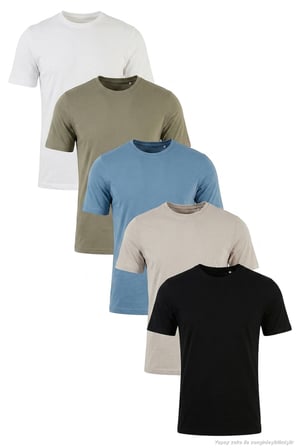 Buratti Pamuklu Regular Fit Bisiklet Yaka 5'li Paket T Shirt Erkek T SHİRT 59020204S5 Siyah-Vizon Yeşili-Kül-Mavi-Ekru